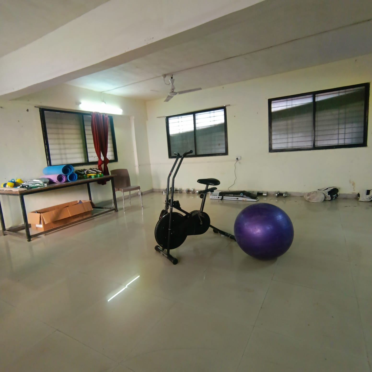 Physiotherapy Section